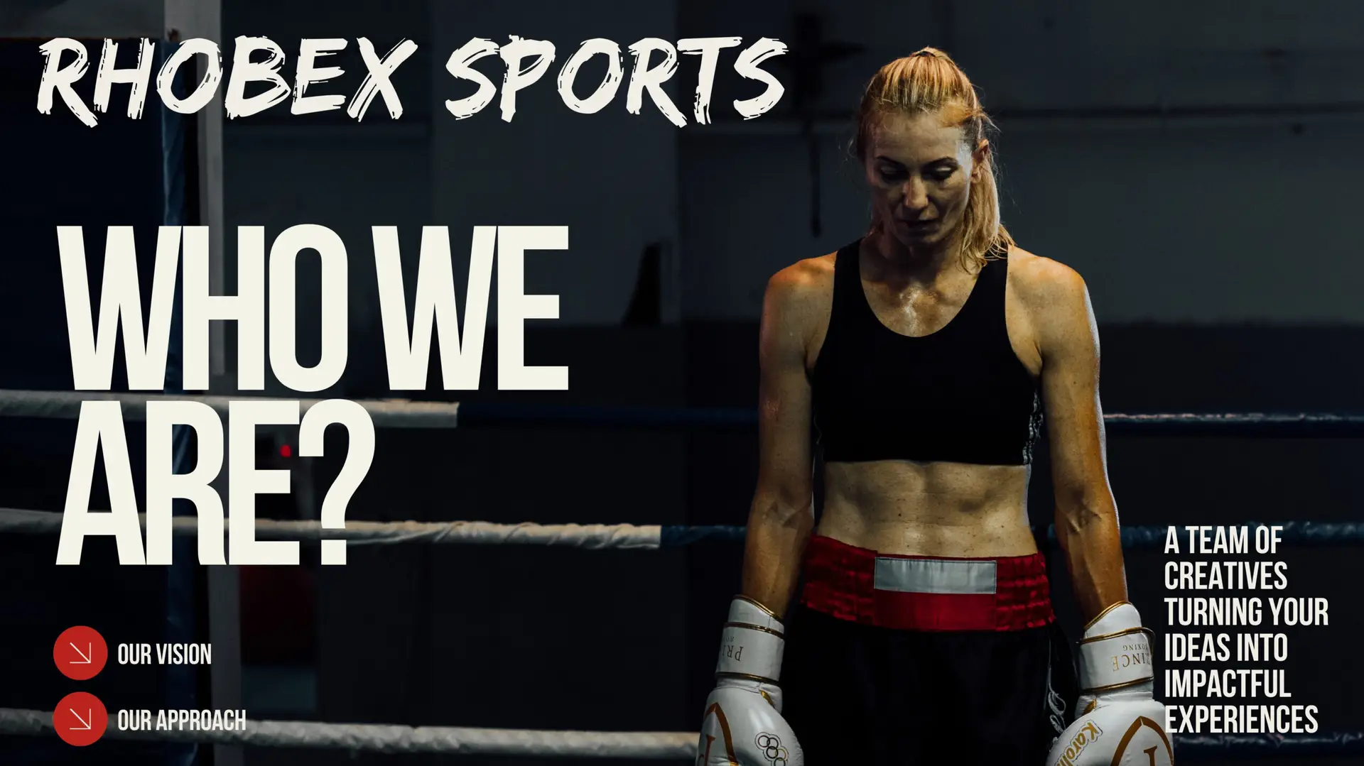 Rhobex Sports About Us